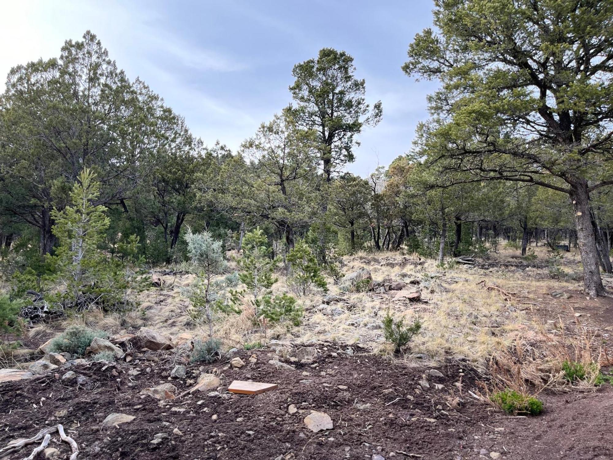 Thunder Hollow Ruidoso Exterior photo